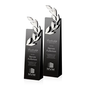 Camborne Award - Silver