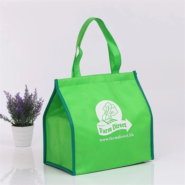 Custom Reusable Shopping Tote Bag Type Cheap Lunch Cooler Ba - Image 6