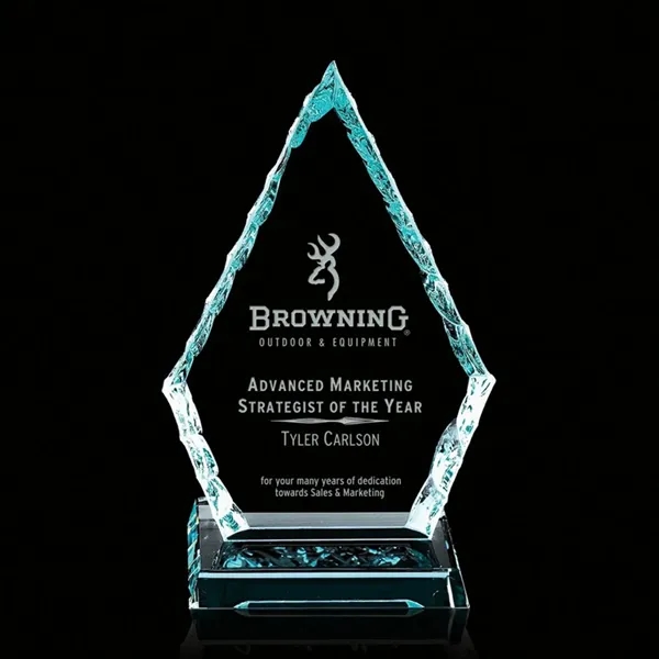 Iceberg Arrowhead Award - Image 6