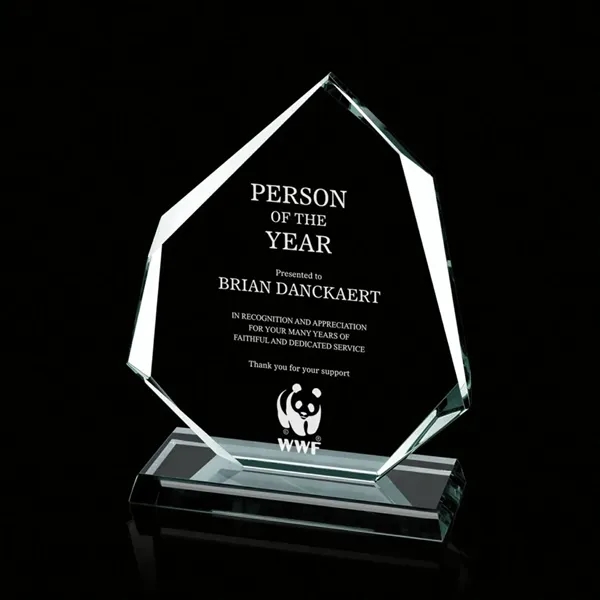 Administrator Award - Image 3