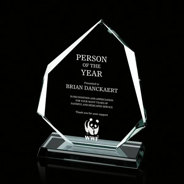 Administrator Award - Image 5