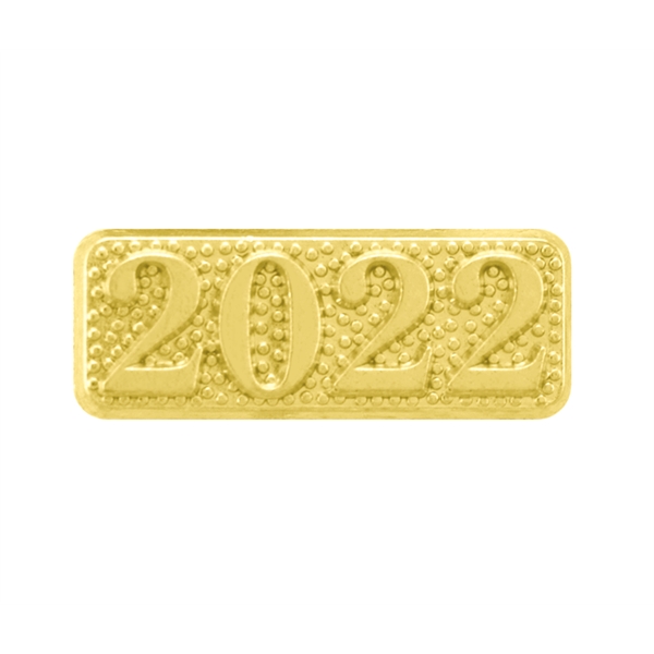Chenille Pin 2022