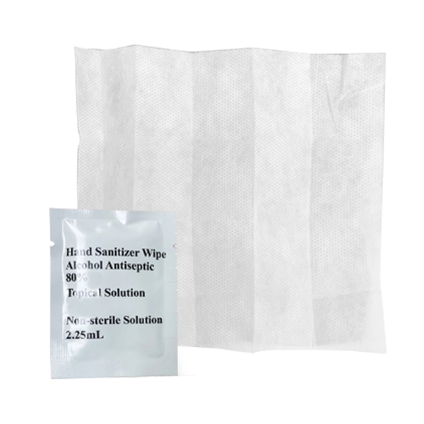 Antiseptic Sanitizer Wipes - Image 1