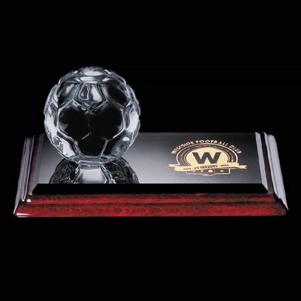 Sports Balls Award on Albion - Image 4