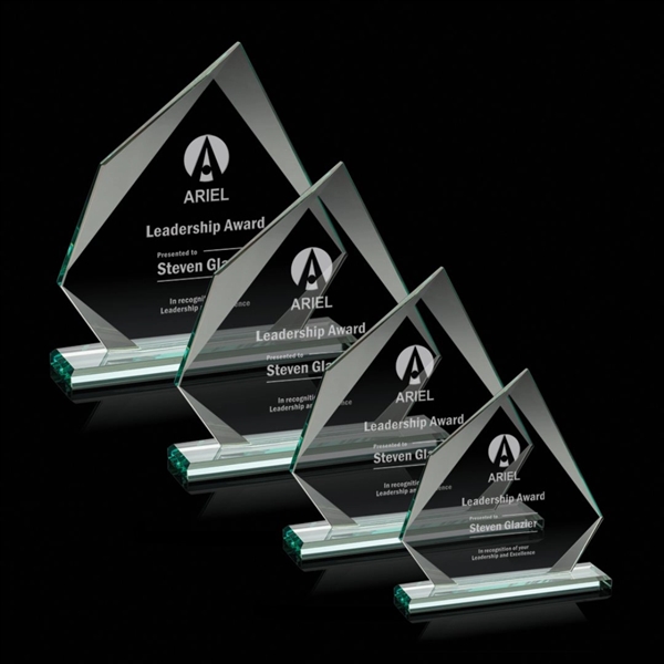 Lexus Award - Image 1