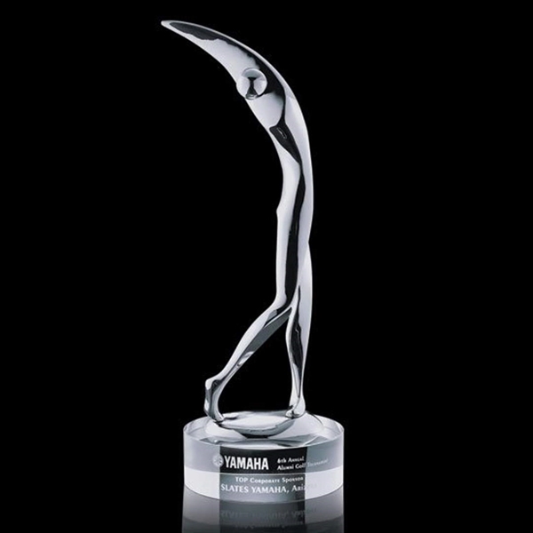 Stoke Golfer Award - Image 1
