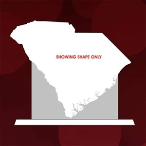 State Map Award -  South Carolina