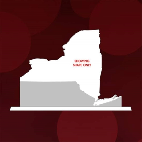 State Map Award -  New York - Image 2