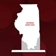 State Map Award -  Illinois