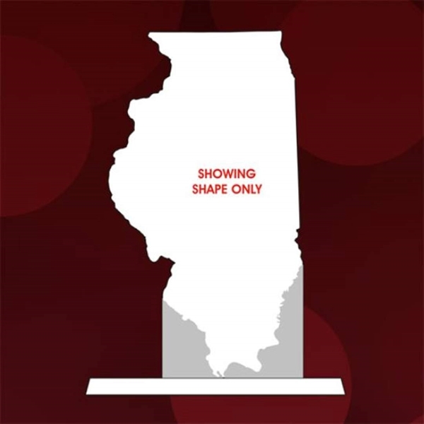 State Map Award -  Illinois - Image 1