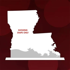 State Map Award -  Louisiana