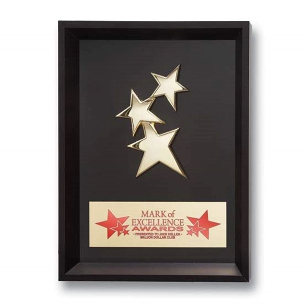 Framed Constellation Award