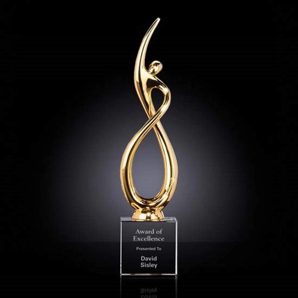 Continuum Award on Optical - Gold - Image 2
