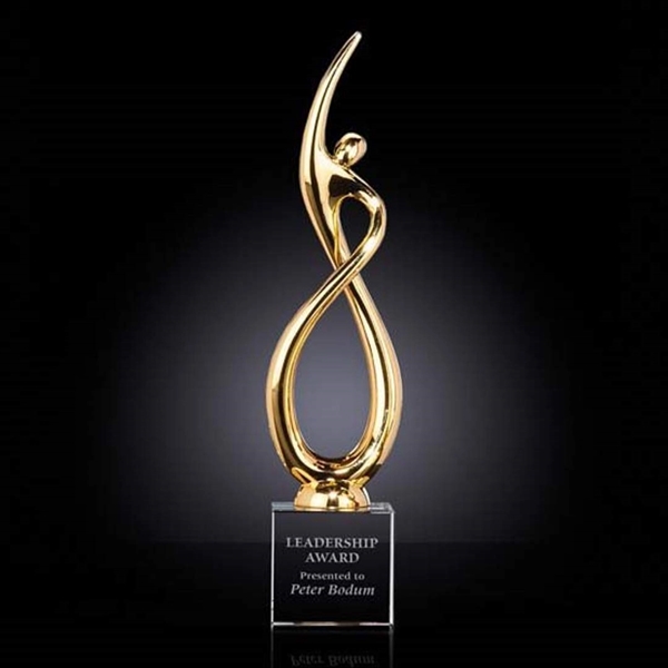 Continuum Award on Optical - Gold - Image 4