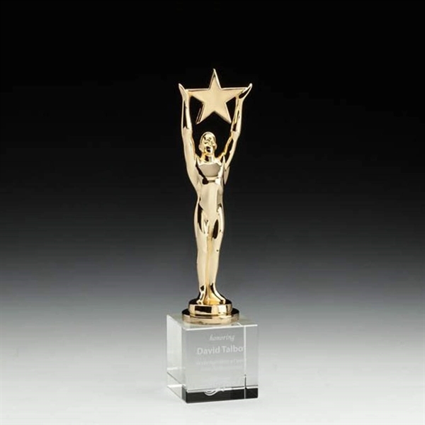 Star Achievement Award on Optical - Image 2