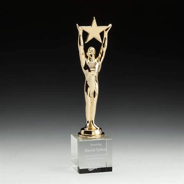 Star Achievement Award on Optical - Image 3