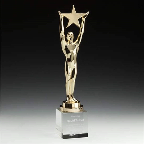 Star Achievement Award on Optical - Image 4