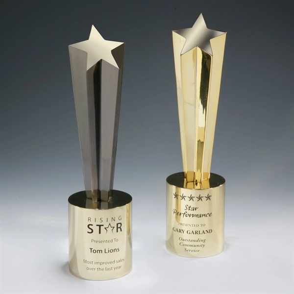 Shooting Star Award - Image 1