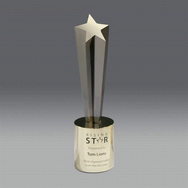 Shooting Star Award - Image 2