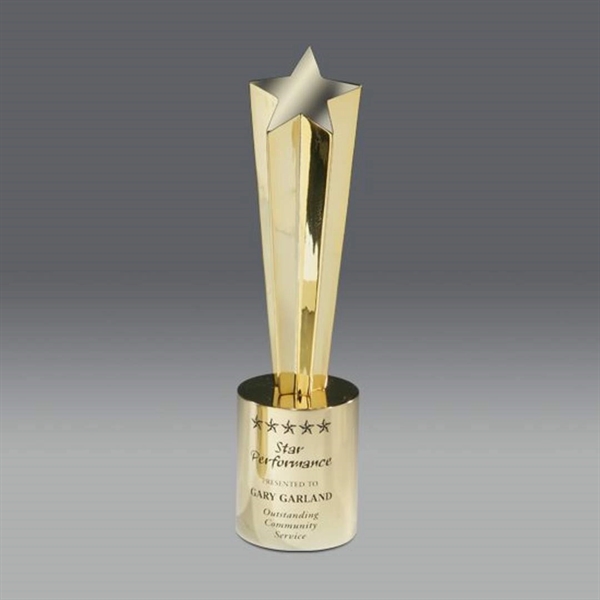 Shooting Star Award - Image 3