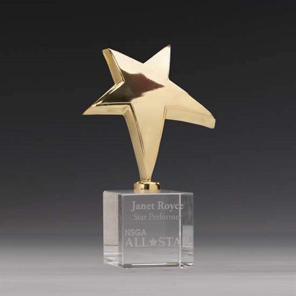 Rising Star Award - Image 3