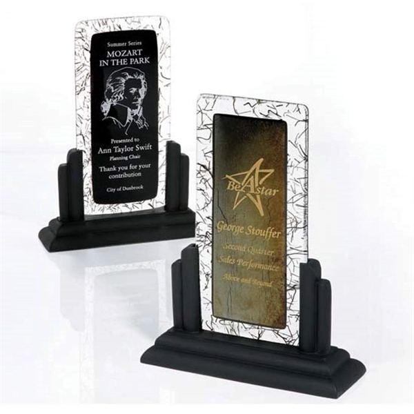 Tuxedo Fusion Award - Image 1