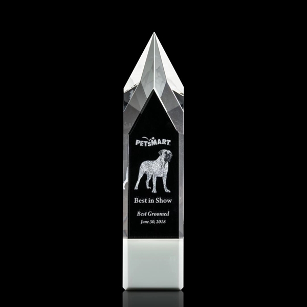 Coventry 3D Award - White - Image 4