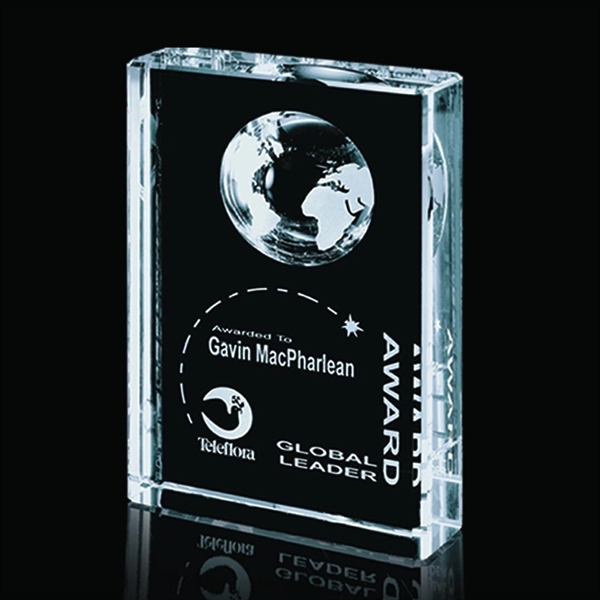 Ambassador Globe Award - Image 4