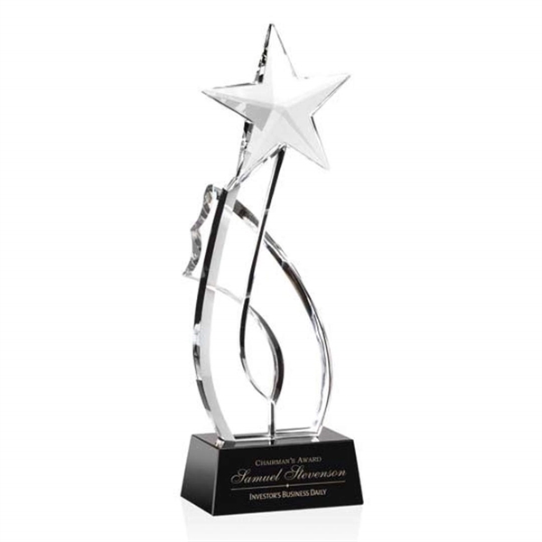 Odessa Shooting Star Award - Image 1