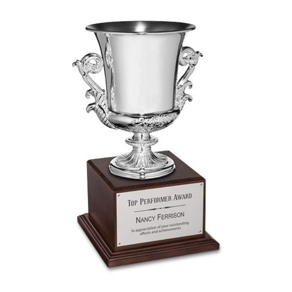 Award Cup - Silver - Image 1