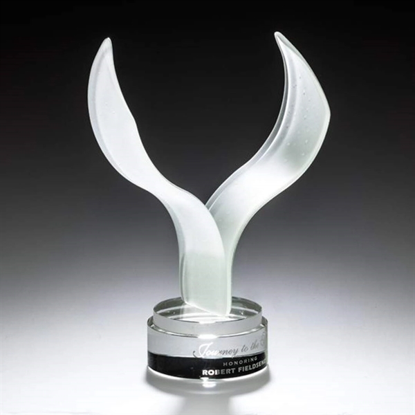 Aerial Award - Image 8