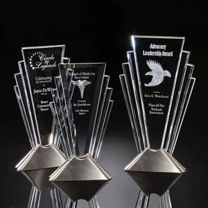 Valiant Award - Silver