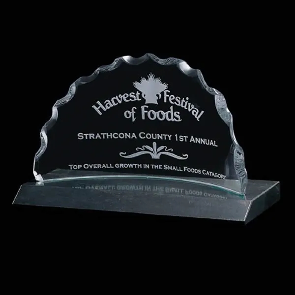 Saratoga Award - Image 3