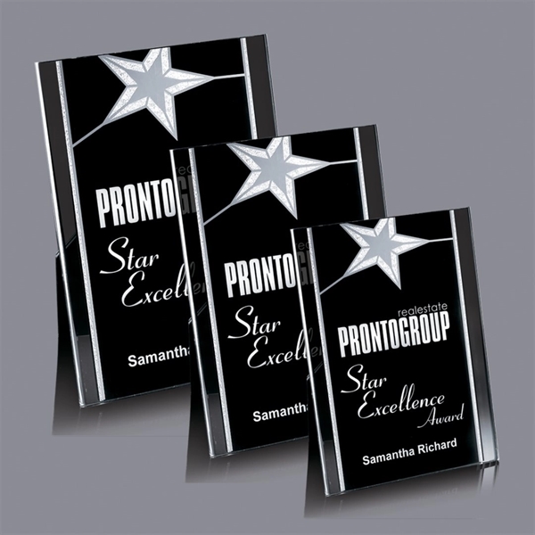 Pickering Award - Silver - Image 1
