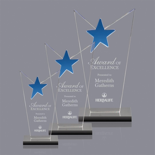 McKinley Star Award - Image 1