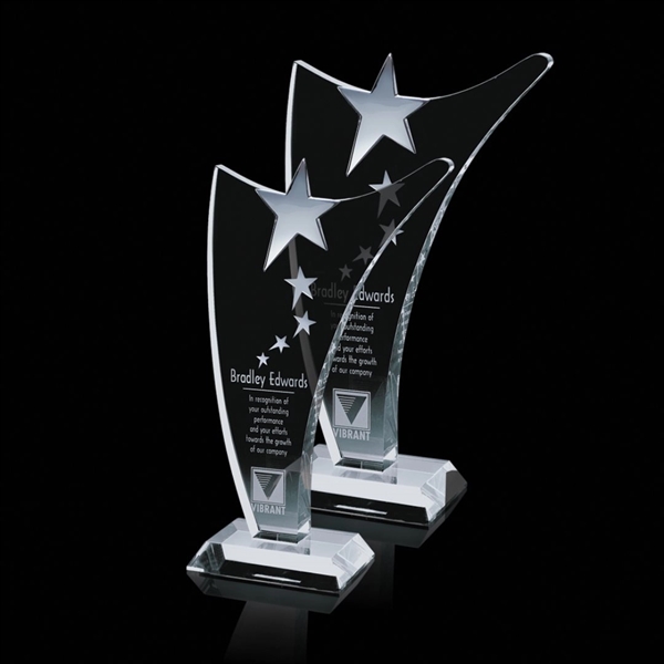 Atkinson Star Award - Image 1