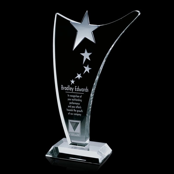 Atkinson Star Award - Image 2