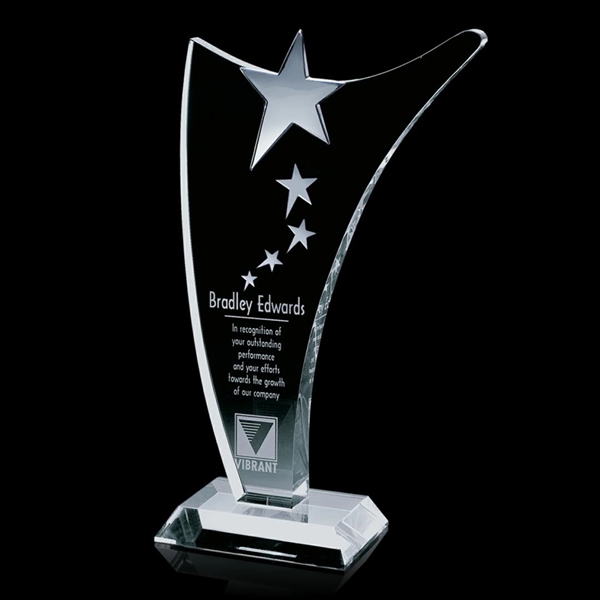 Atkinson Star Award - Image 3