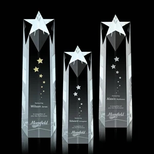 Ellesmere Star Obelisk Award
