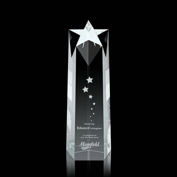 Ellesmere Star Obelisk Award - Image 2