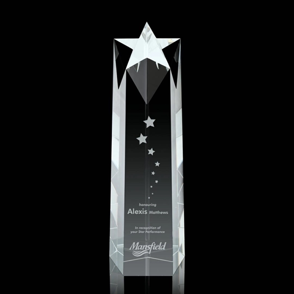 Ellesmere Star Obelisk Award - Image 3