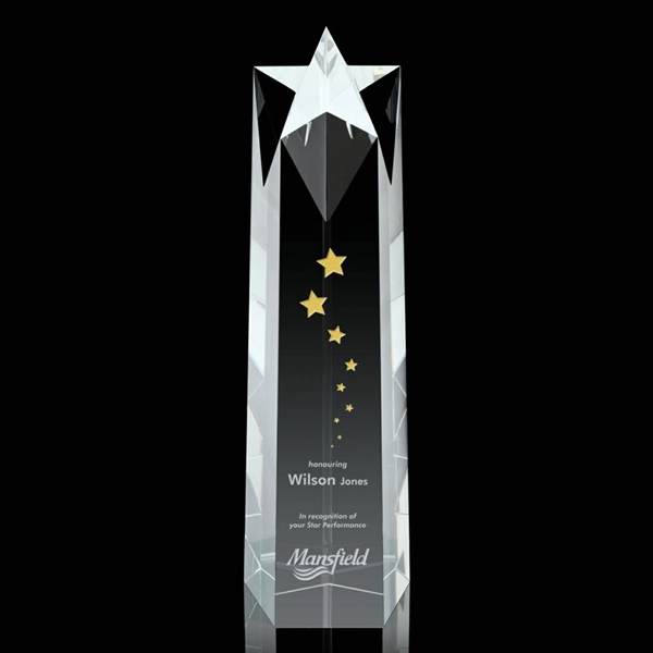 Ellesmere Star Obelisk Award - Image 4
