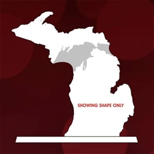 State Map Award -  Michigan