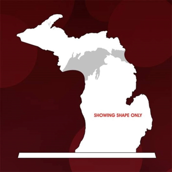 State Map Award -  Michigan - Image 2