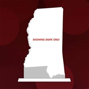 State Map Award -  Mississippi