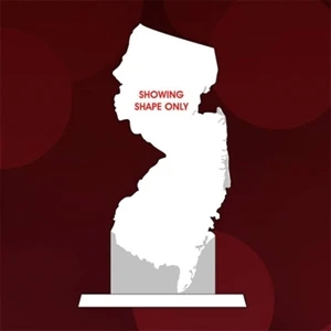 State Map Award -  New Jersey