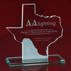 State Map Award -  Texas