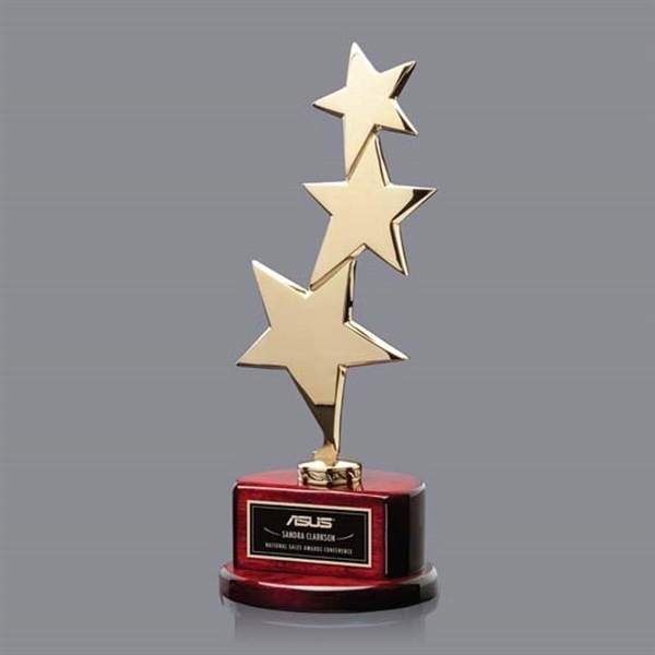 Highland Shooting Star Award - Image 1