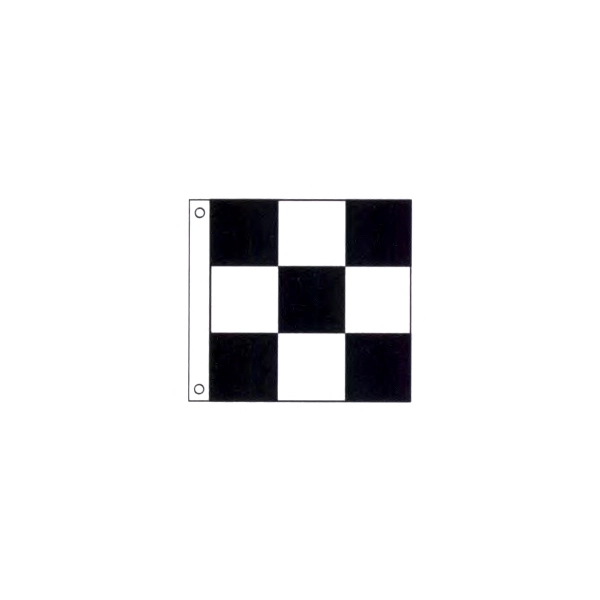 9 Square Checkered Printed Flags - Image 1