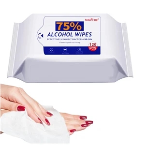 120Pcs 75% Sanitizing Wipes With MSDS